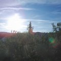 Webcam_20200901-081500