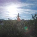 Webcam_20200901-084500