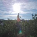 Webcam_20200901-091500