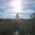 Webcam_20200901-093000