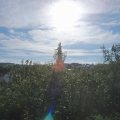 Webcam_20200901-094500