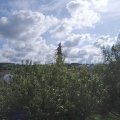 Webcam_20200901-114500