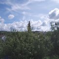 Webcam_20200901-120000