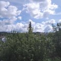 Webcam_20200901-123000