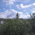 Webcam_20200901-124500