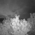 Webcam_20200902-054500