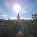 Webcam_20200902-091500