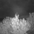 Webcam_20200902-210000
