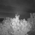 Webcam_20200903-053000