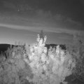Webcam_20200903-054500