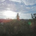 Webcam_20200903-081500