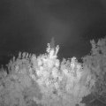 Webcam_20200904-051500