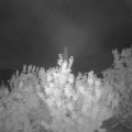 Webcam_20200904-054500