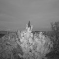 Webcam_20200904-203000
