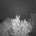 Webcam_20200904-204500