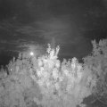 Webcam_20200904-220000