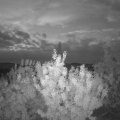 Webcam_20200905-060000