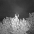 Webcam_20200905-210000