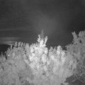Webcam_20200905-220000