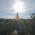 Webcam_20200906-093000