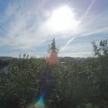 Webcam_20200906-094500