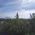 Webcam_20200906-114500