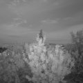 Webcam_20200906-203000