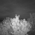 Webcam_20200906-204500