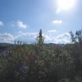 Webcam_20200907-104500