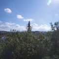 Webcam_20200907-113000