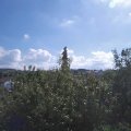 Webcam_20200907-114500