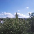 Webcam_20200907-130000
