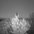 Webcam_20200907-203000