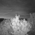 Webcam_20200908-054500