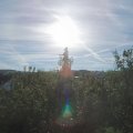 Webcam_20200908-091500