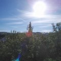 Webcam_20200908-100000