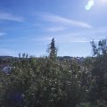 Webcam_20200908-113000