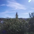 Webcam_20200908-114500