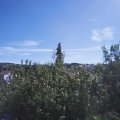Webcam_20200908-121500