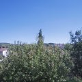 Webcam_20200908-141500