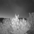 Webcam_20200909-054500