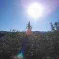 Webcam_20200909-094500