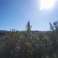 Webcam_20200909-104500