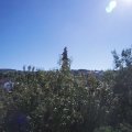 Webcam_20200909-113000