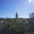 Webcam_20200909-114500