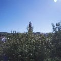 Webcam_20200909-120000