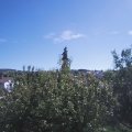 Webcam_20200909-124500