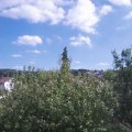 Webcam_20200909-141500