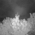 Webcam_20200910-053000