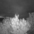 Webcam_20200910-060000